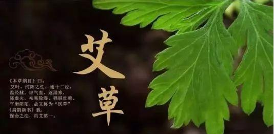 宛艾