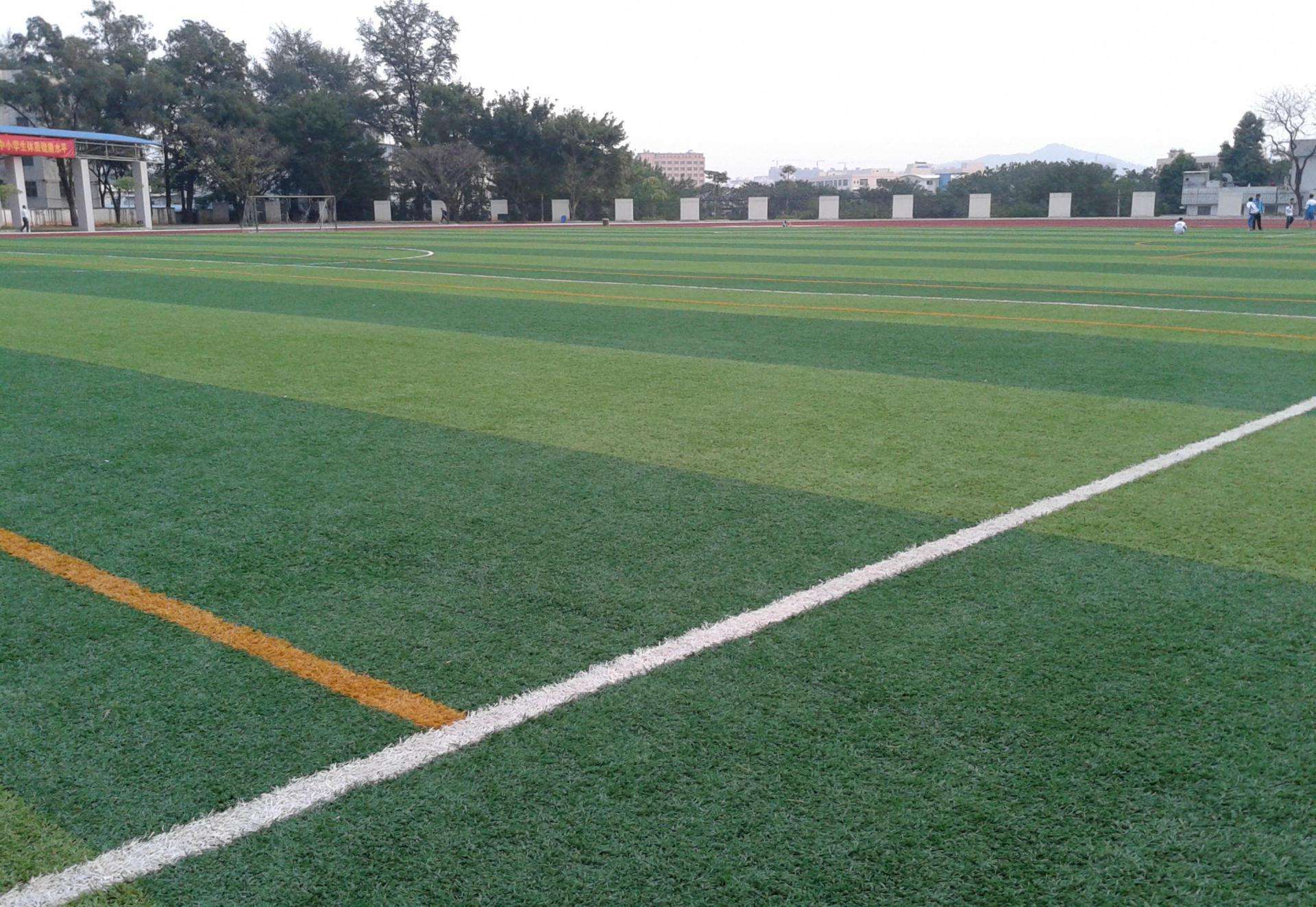 惠州人造草坪足球场