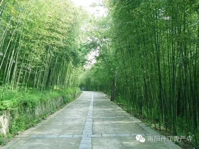 连休4天！五一小长假来太极峡、香严长寿寺邂逅美丽春天！
