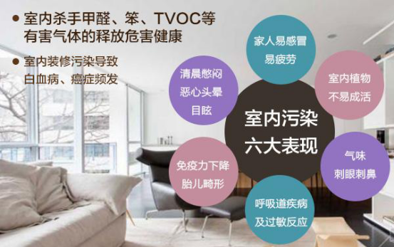 动态资讯