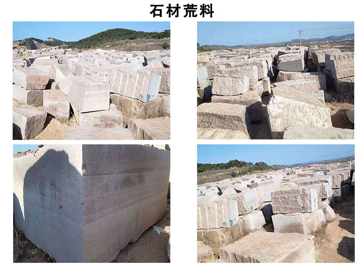 石岛红、石岛红老8号、 石岛新8号、石岛