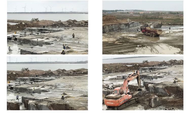 石岛红、石岛红老8号、 石岛新8号、石岛