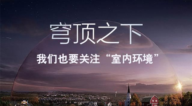 动态资讯