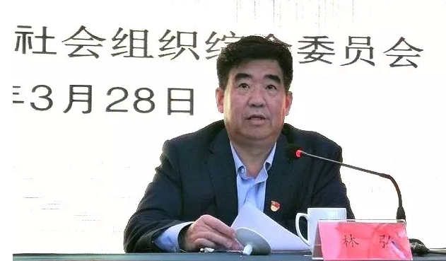 书记,省民政厅副厅长林弘讲话