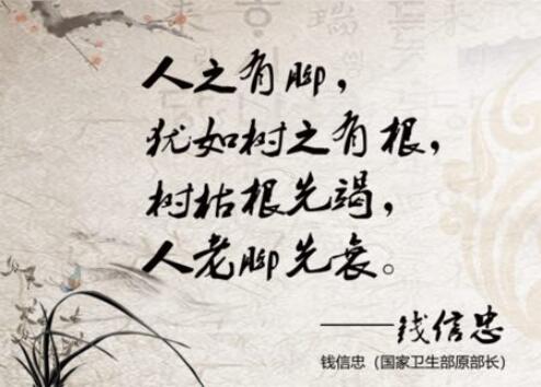鞋垫