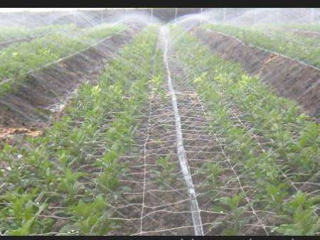 農業節水灌溉