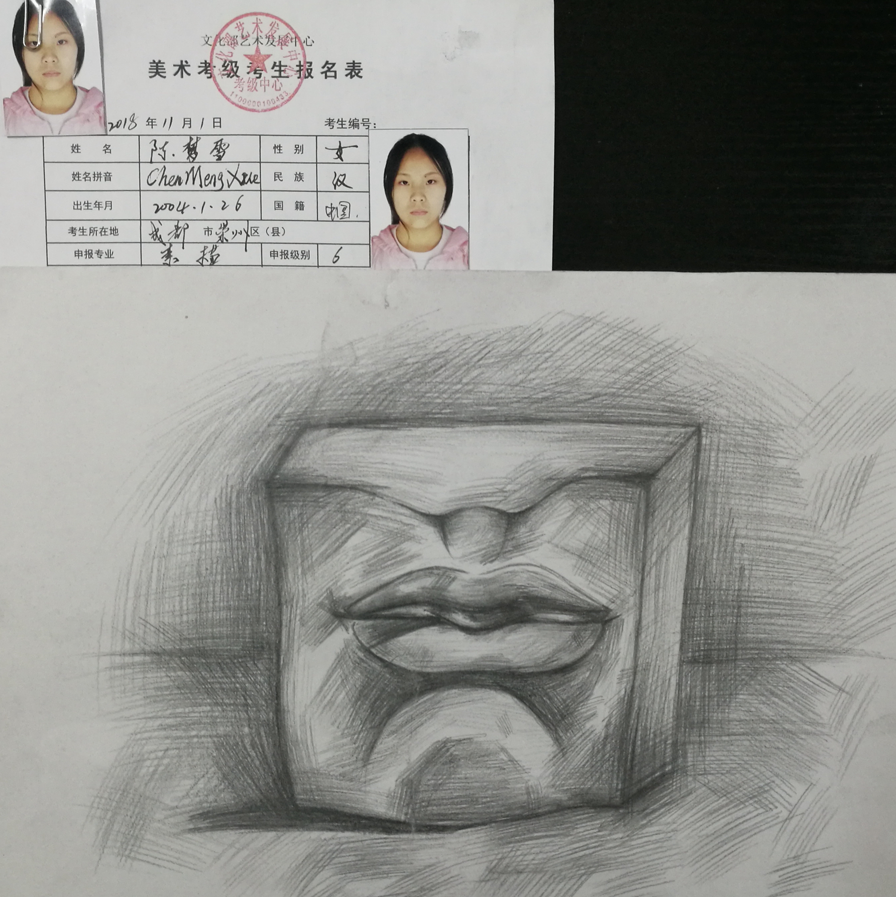 崇州阳光美术2018年考级作品展