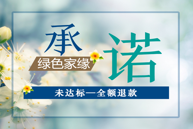 除甲醛公司绿色家缘专业甲醛治理服务 动态资讯