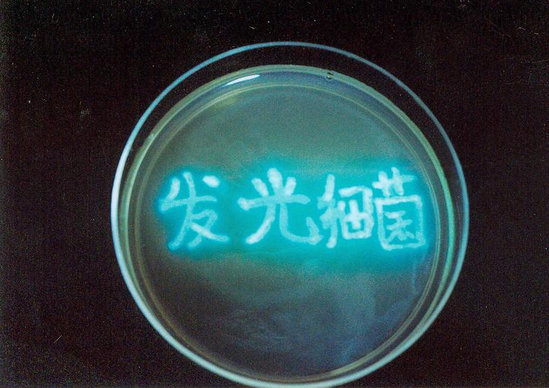 动态资讯