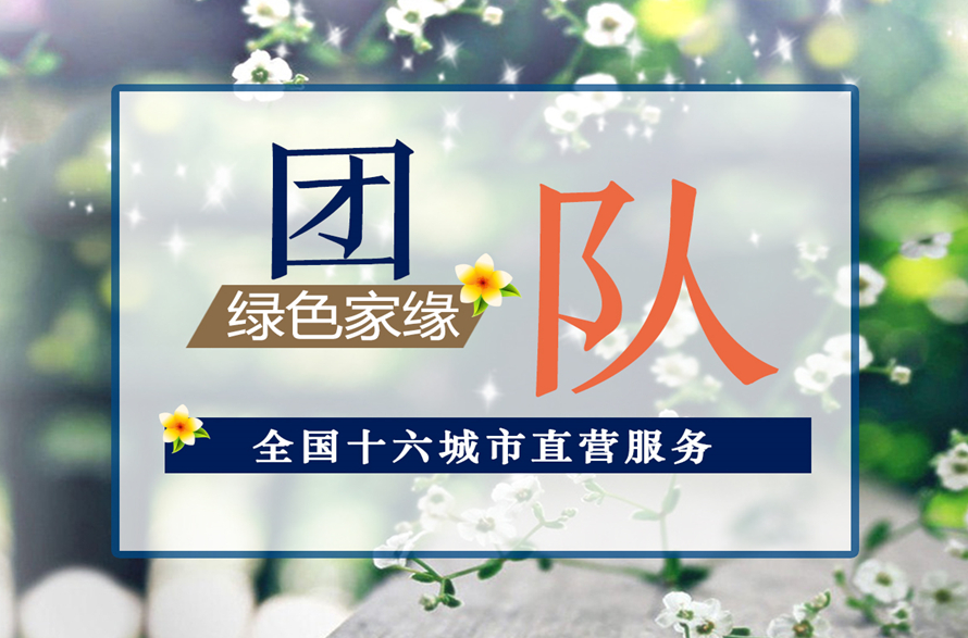 动态资讯
