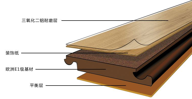 动态资讯