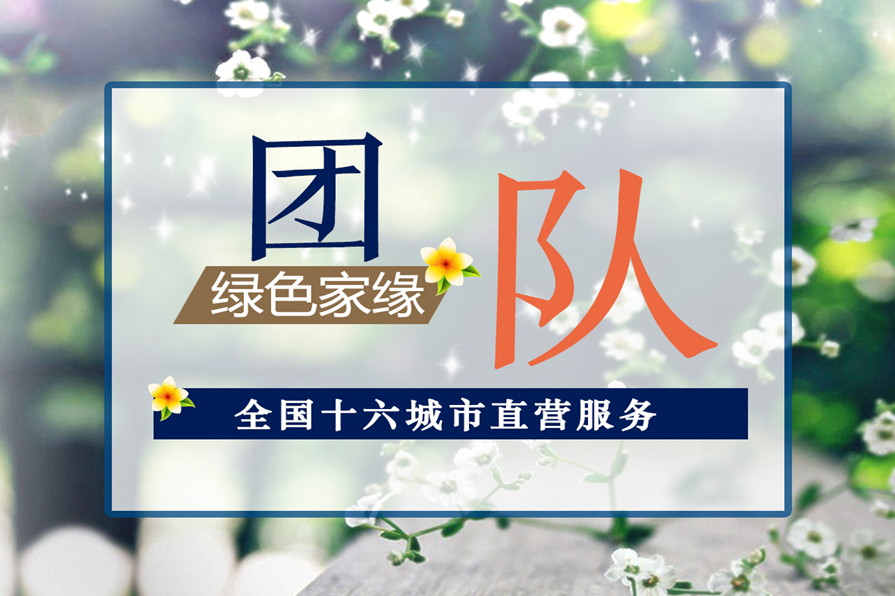 动态资讯