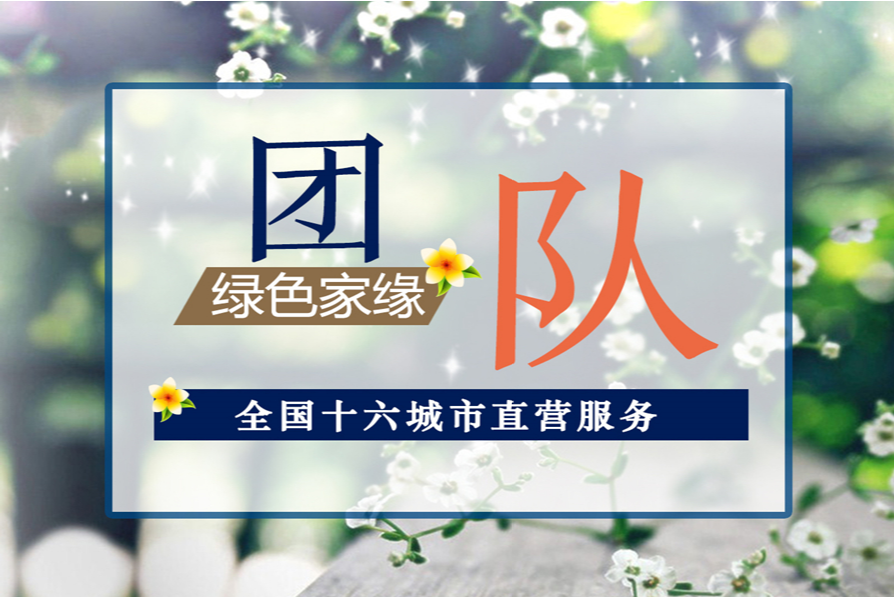 动态资讯