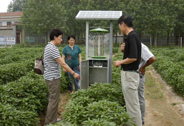 綠色園林裝燈工程