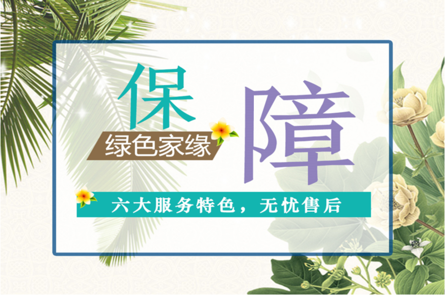 动态资讯