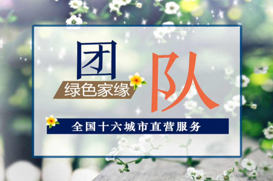 动态资讯