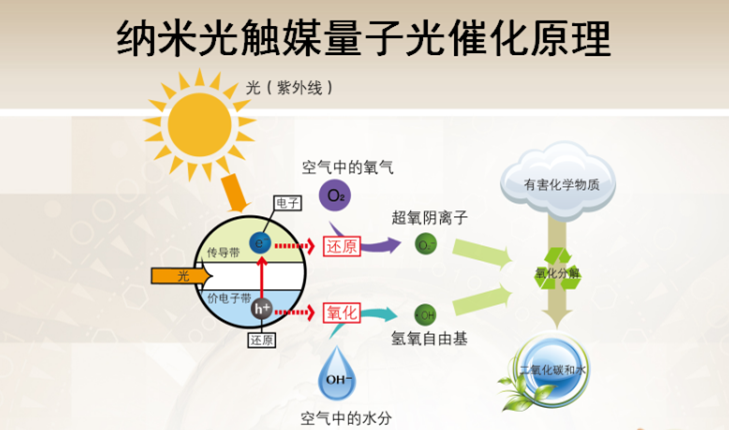 动态资讯