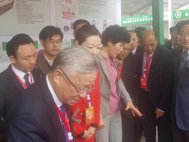 第三届中国艾产业发展大会