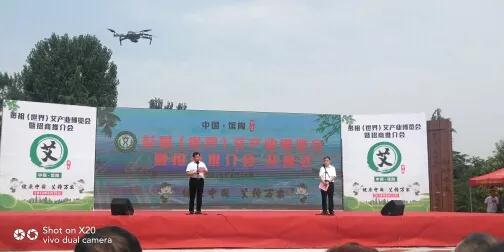 南阳市中医药发展局艾产业考察团赴河北馆陶，参加首届彭祖艾产业世界博览会
