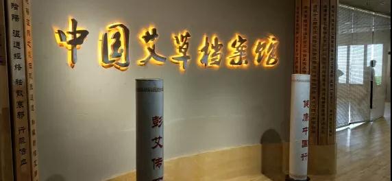 南阳市中医药发展局艾产业考察团赴河北馆陶，参加首届彭祖艾产业世界博览会