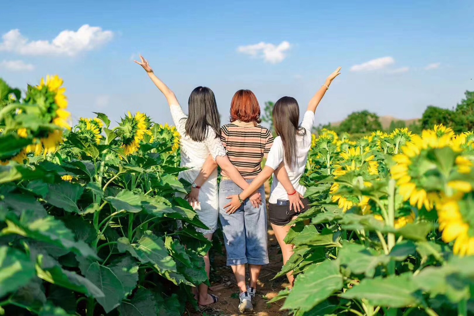 青州杏花村度假区
