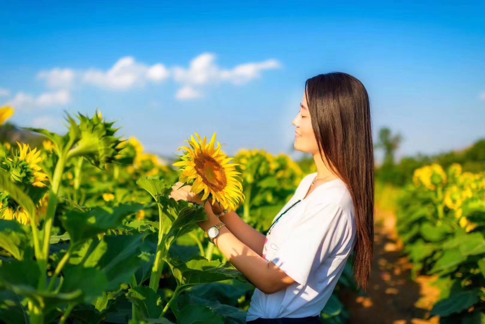 青州杏花村度假区
