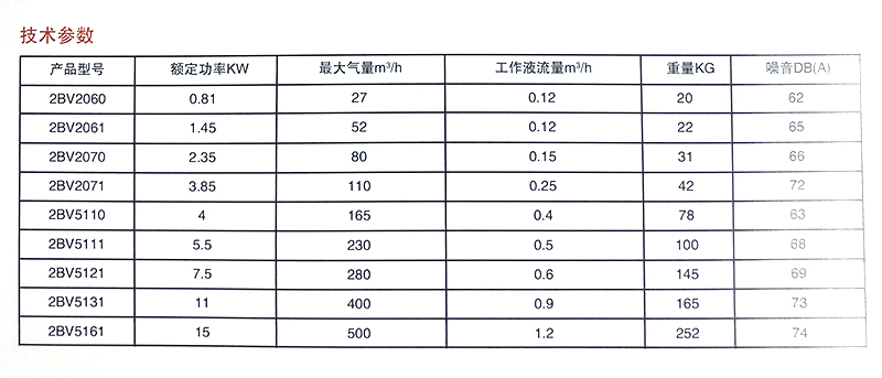 2BV系列水環(huán)真空泵