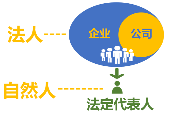 1563506812698743.jpg 公司