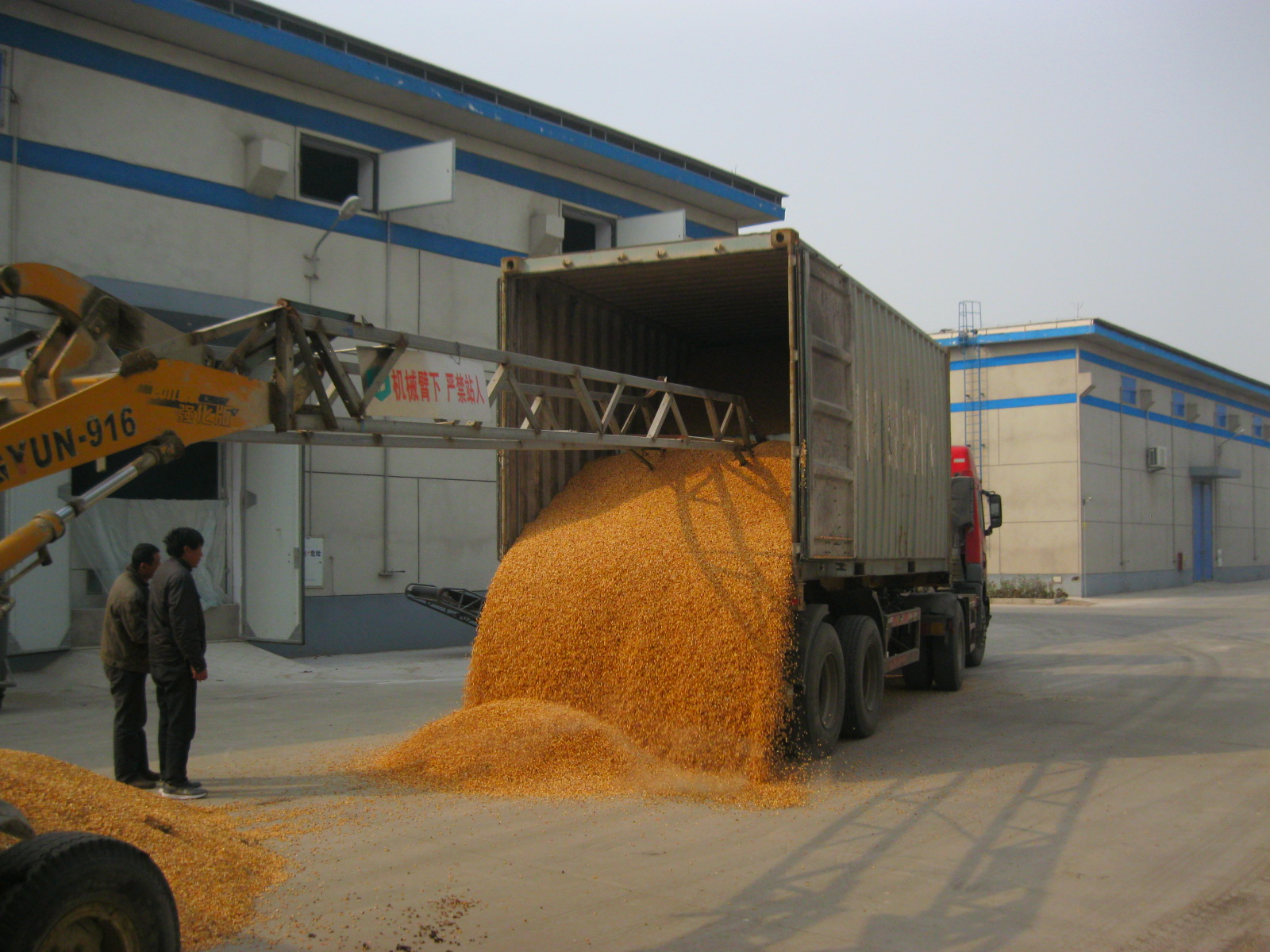 grain discharging survey