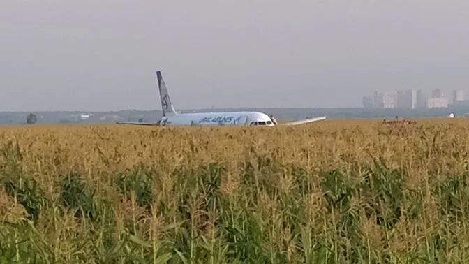 俄罗斯A321双发失效成功迫降玉米地！哈德逊河奇迹重现！