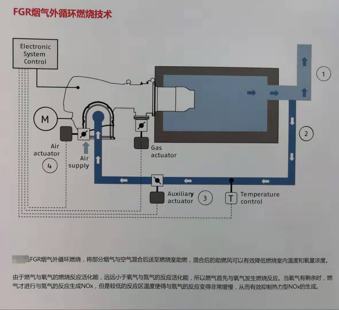 道森4吨燃烧器改造