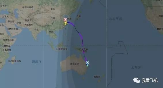 东航A330遭鸟击返航浦东！
