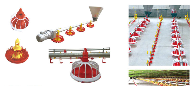 Automatic feeding line