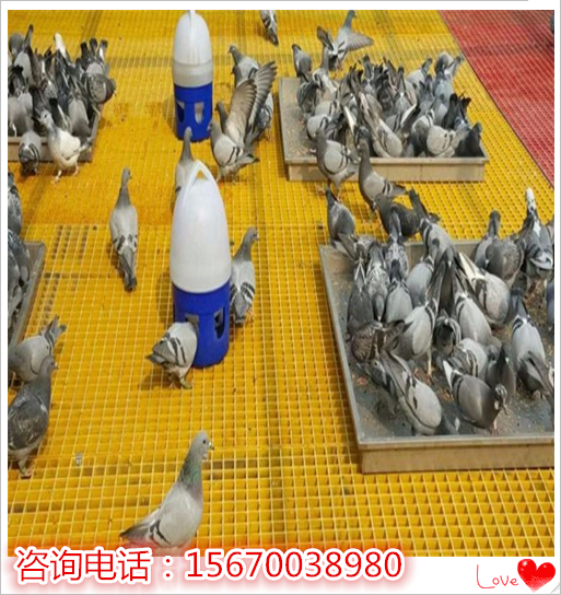 玻璃鋼格柵板