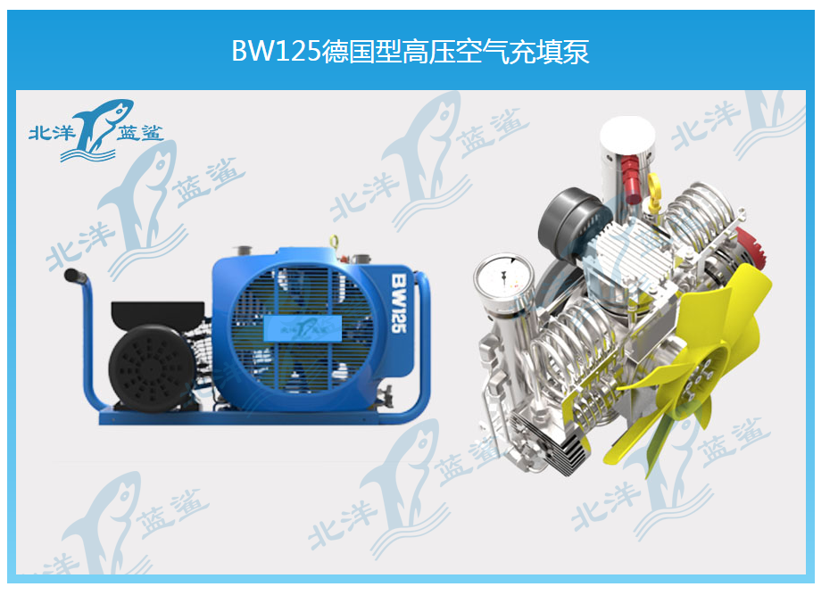 BW125德国型高压空气充填泵