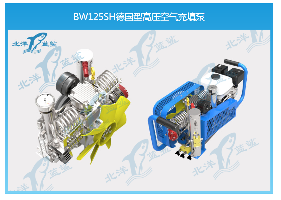 BW125SH德国型高压空气充填泵