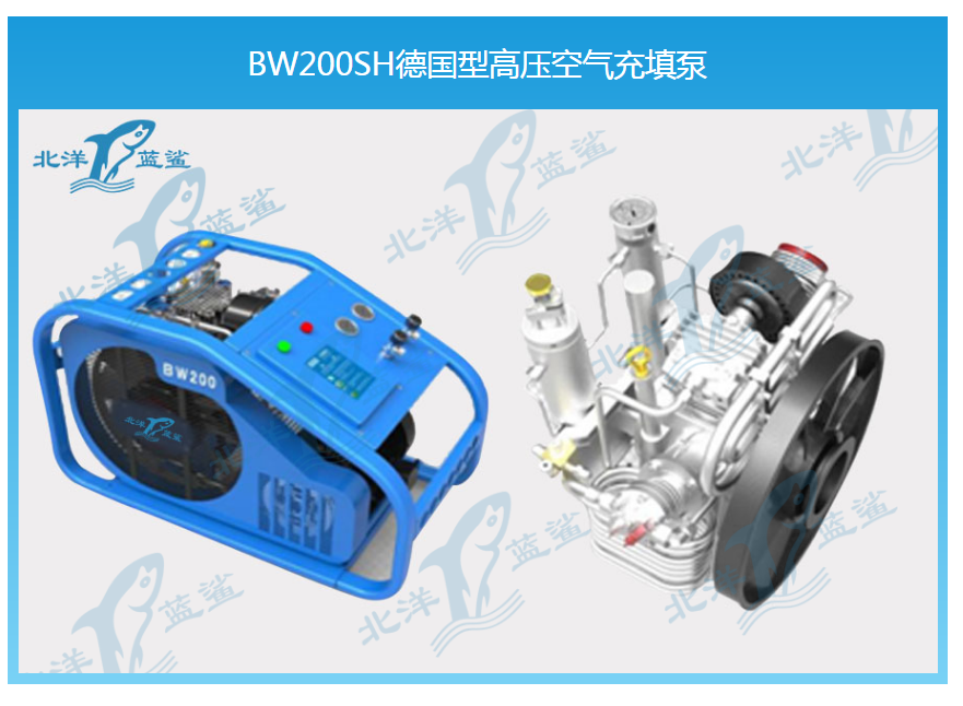BW200SH德国型高压空气充填泵
