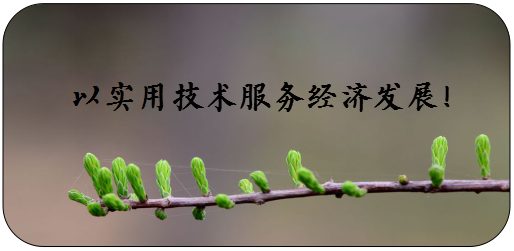 钛白副产
