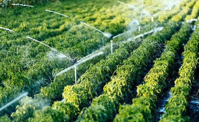 广西水肥一体化灌溉设备