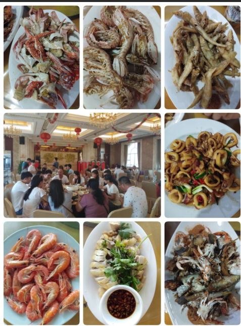 鸿志