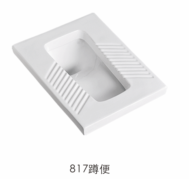 蹲便器