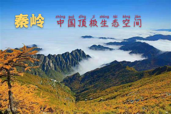 1571032795296621.png 生态空间