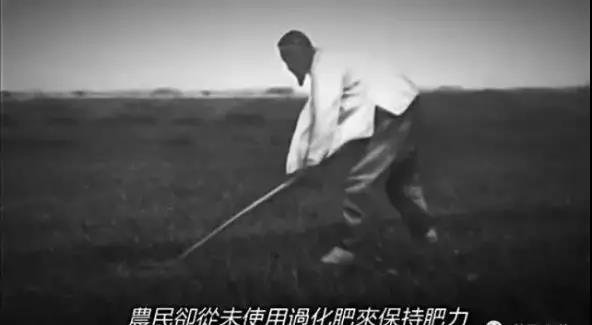 為什么中國糧食滿是農藥？揭秘背后的真相......