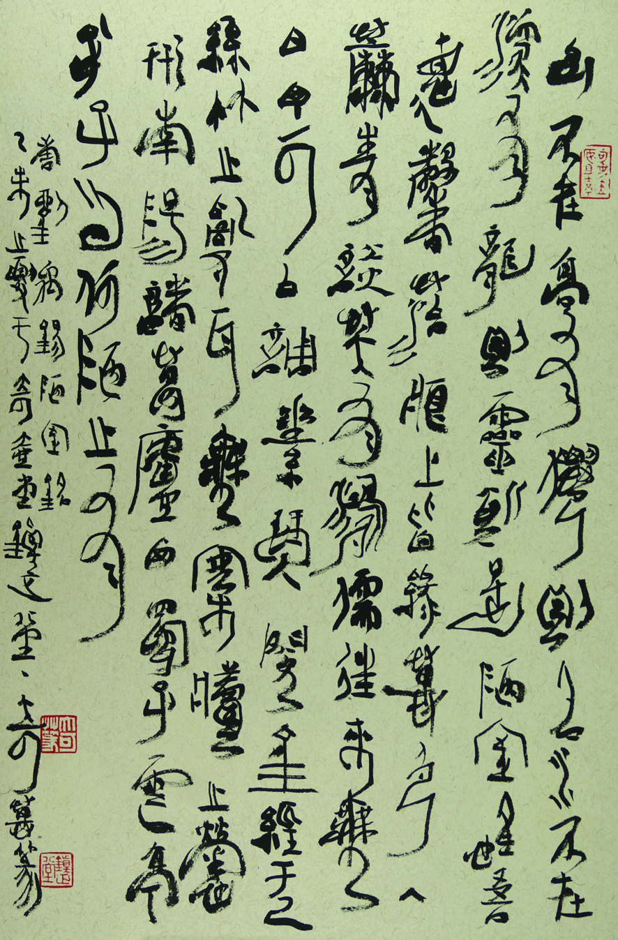 大可奇书