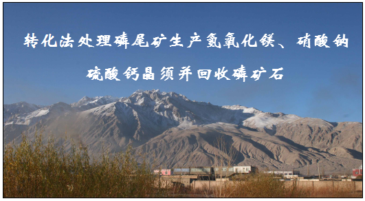 转化法