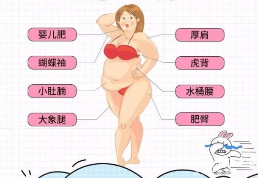 腰腹部吸脂减肥