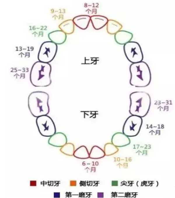 儿童口腔护理知识
