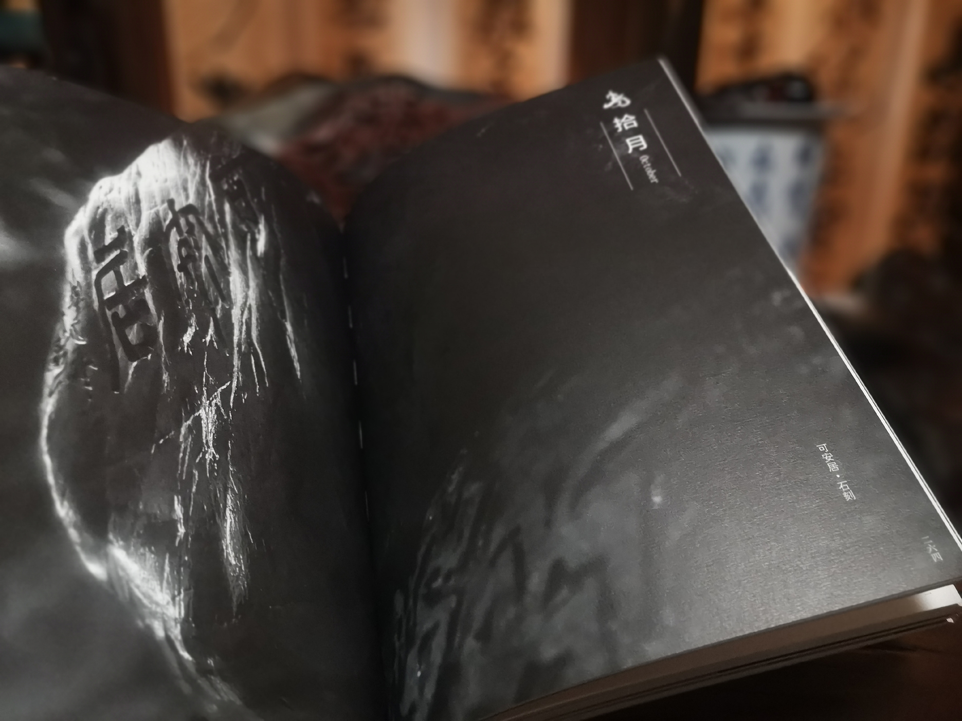 一日一诗书