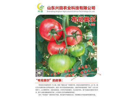 1575014976365513.jpg 布尼奥尔