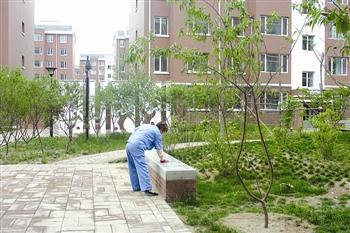 甘肃城市绿化养护